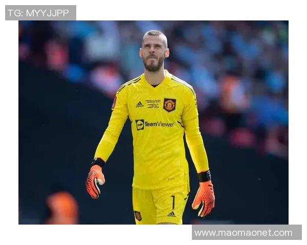 德赫亚与卡西的传奇对决谁将成为足球历史上的最佳门将