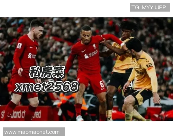 精彩对决视频直播利物浦对阵狼队全场回顾与精彩瞬间解析 精彩对决视频直播利物浦对阵狼队全场回顾与精彩瞬间解析