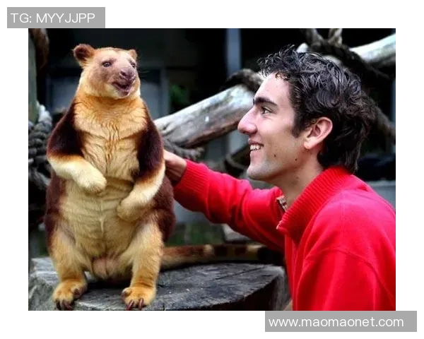 堪培拉女篮与墨尔本袋鼠女篮激战正酣谁能在赛场上笑到最后