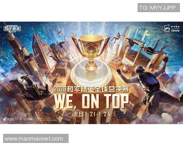 沈阳城市与河北精英的对决：谁能在未来发展中占据优势