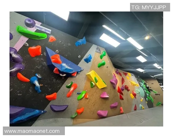 极限运动战术解析：西安极限运动队的创新转换体系与实践探索MBA