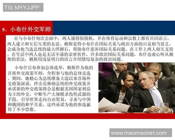 赖斯的崛起与挑战：探索其在国际关系中的影响与未来发展方向