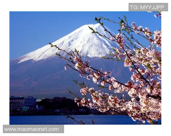 长野琶扼搂对决横滨全景分析及比赛前瞻展望