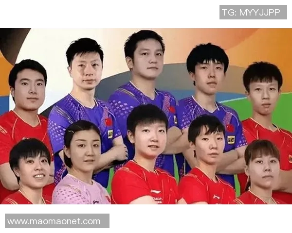 乒乓球战术排行榜揭晓上海乒乓球队荣登第八位引发热议