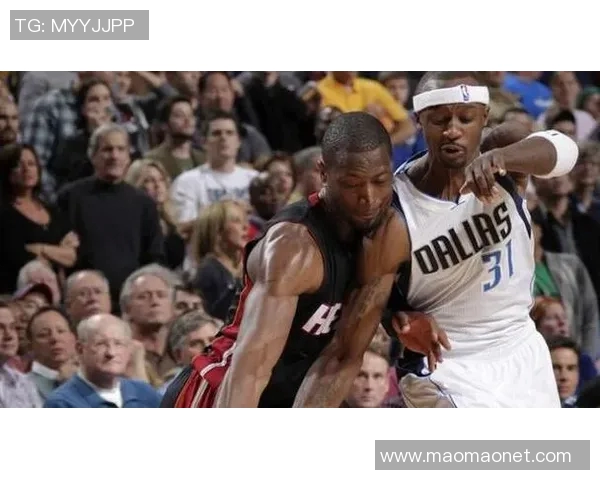 小牛逆袭热火2006总决赛回顾传奇时刻与经典对决