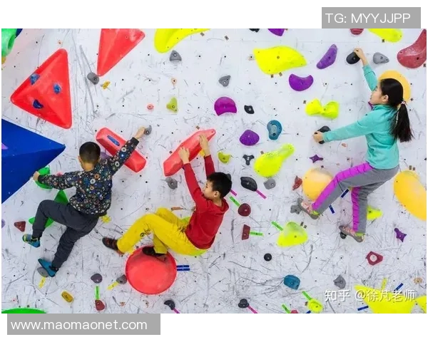 广州攀岩队的意识探索与发展：攀岩运动在城市中的崛起与影响MBA