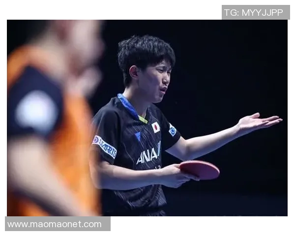 杭州网球队在钻石联赛中的技术表现分析与未来发展展望