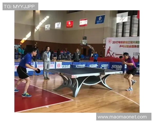 武汉乒乓球队联赛精彩表现分析与团队配合探讨