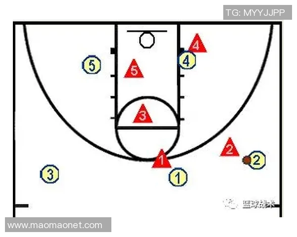 深圳排球队盯防体系解析与战术运用探讨