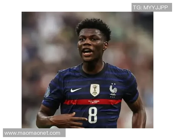 楚阿梅尼：从青涩少年到足球场上的璀璨明星之路探秘