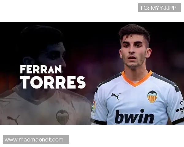 费兰托雷斯：从新星崛起到足球巨星的辉煌之路与未来展望