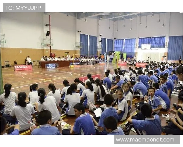 深圳羽毛球队快速转型背后的故事与挑战探讨